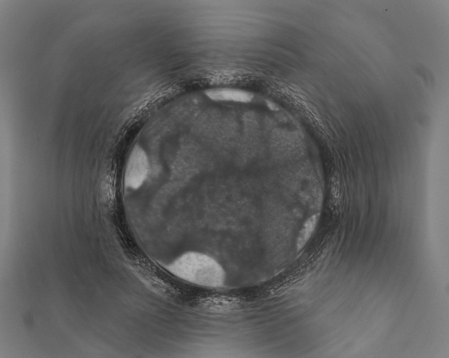 X0000111580691200908131319