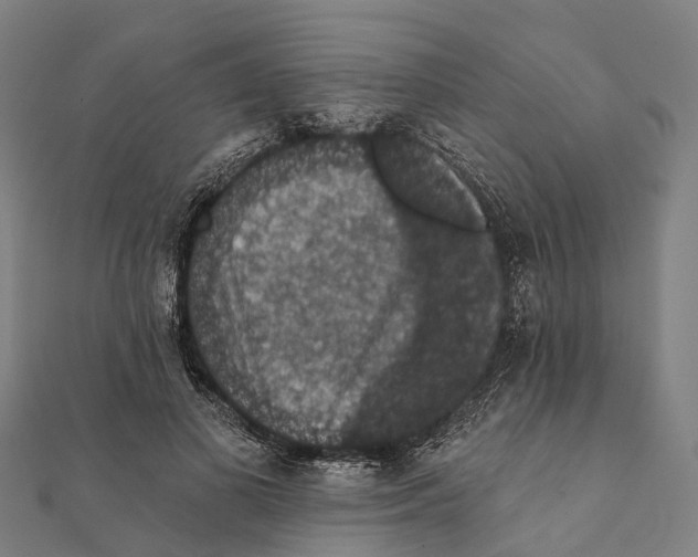 X0000111580693200908131319