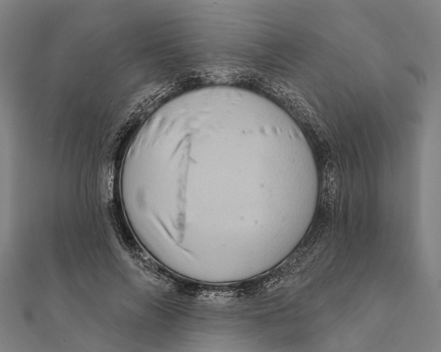 X0000111580694200908131319