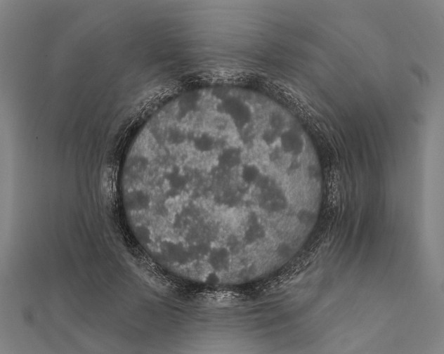 X0000111580695200908131319