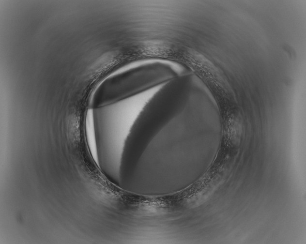 X0000111580696200908131319