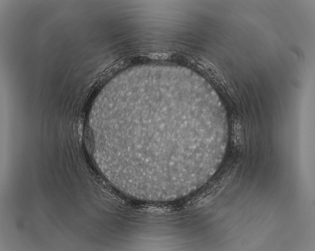 X0000111580697200908131319