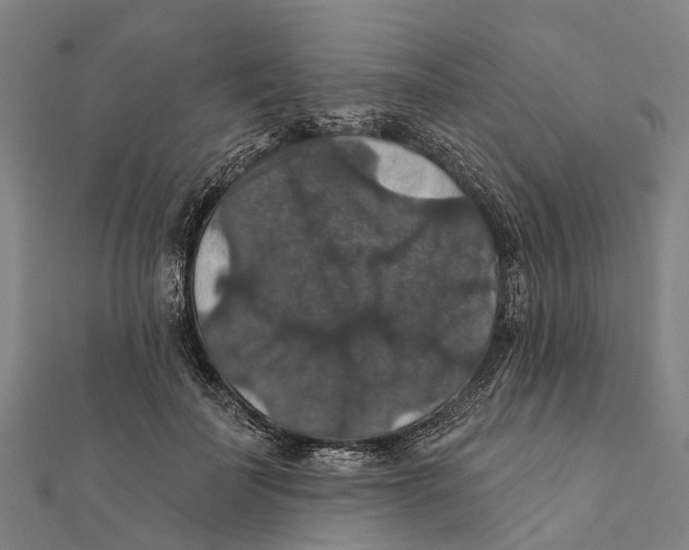 X0000111580699200908131319