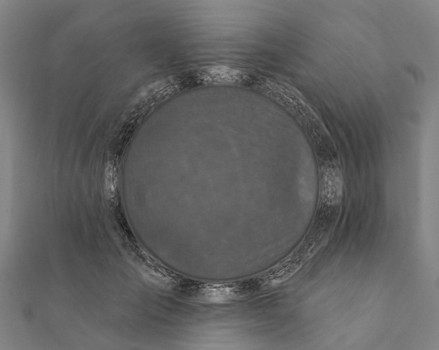 X0000111580701200908131319