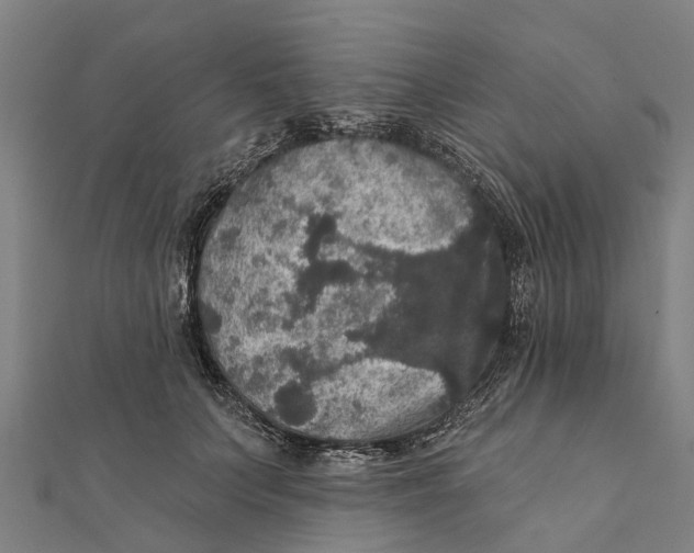 X0000111580703200908131319