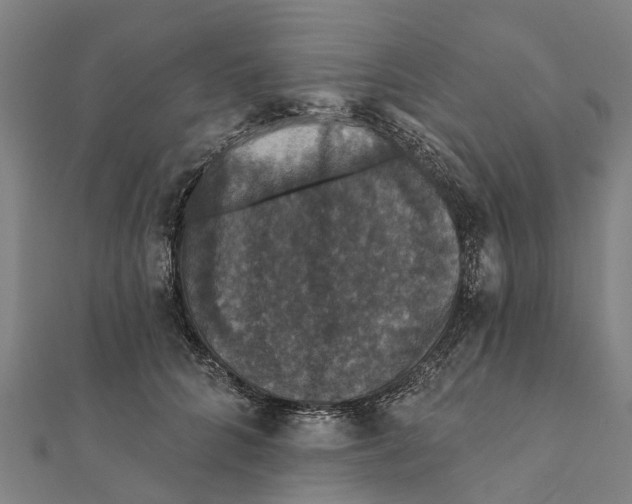 X0000111580704200908131319