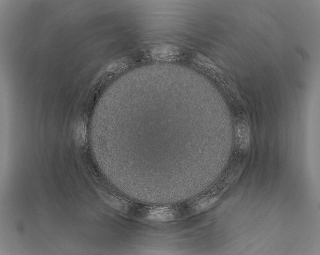 X0000111580705200908131319