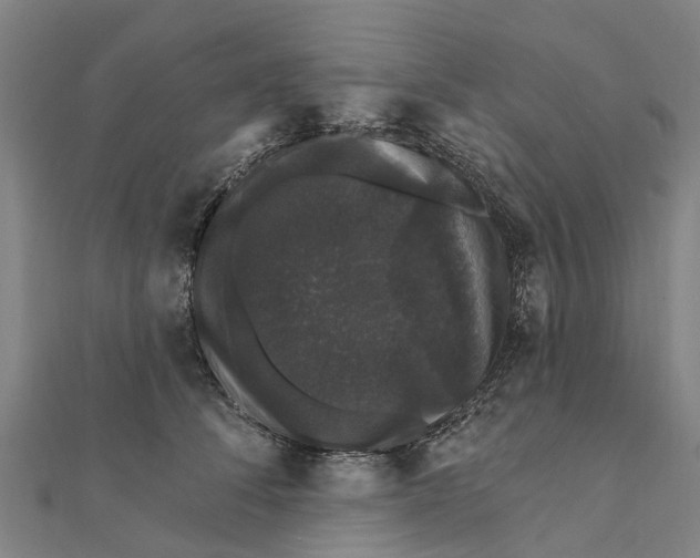 X0000111580708200908131319