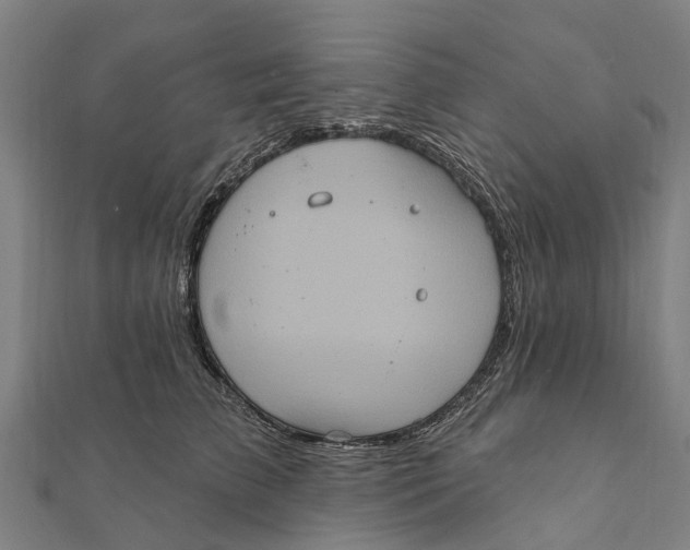 X0000111580709200908131319