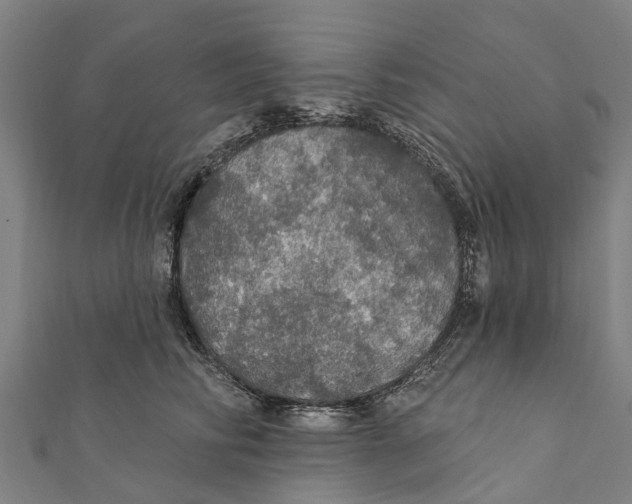 X0000111580710200908131319