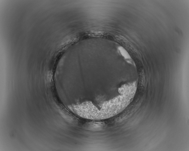 X0000111580711200908131319