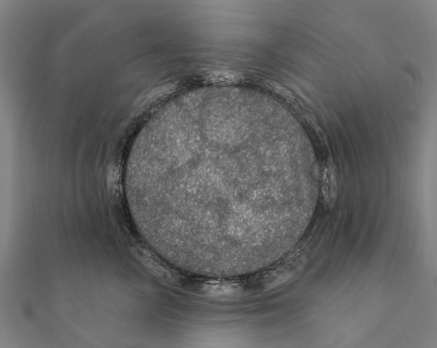 X0000111580714200908131319