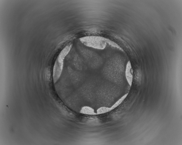 X0000111580715200908131319