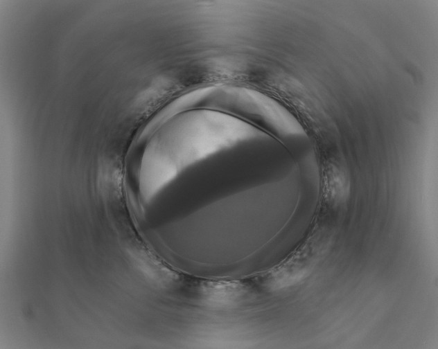 X0000111580716200908131319