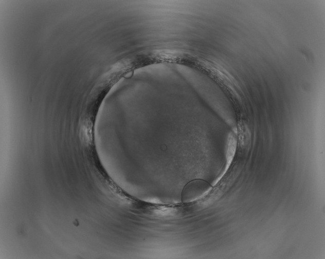 X0000111580718200908131319