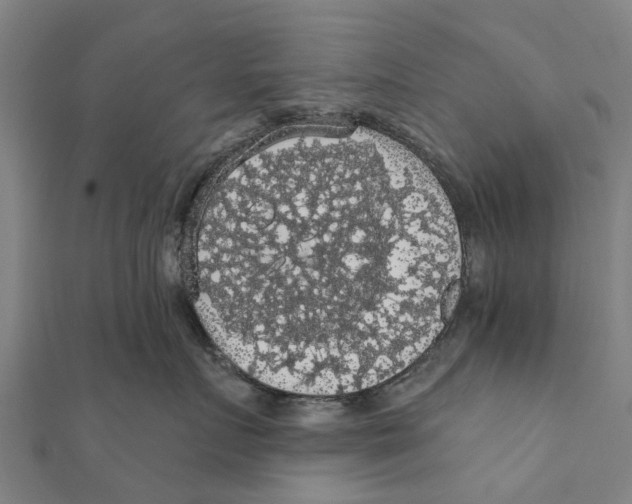 X0000111580719200908131319