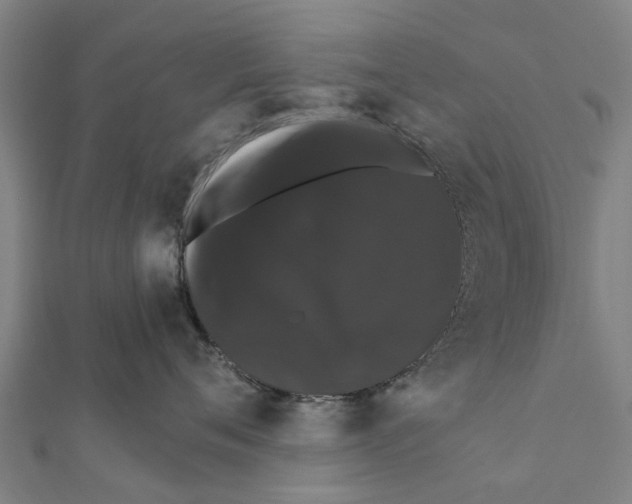 X0000111580720200908131319