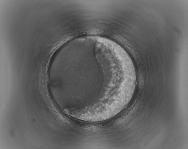 X0000111580721200908131318