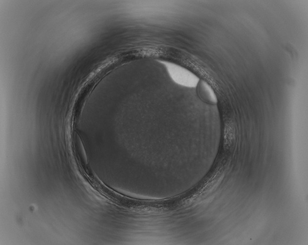 X0000111580722200908131318