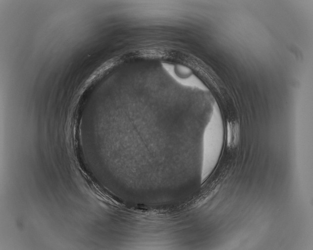 X0000111580723200908131318