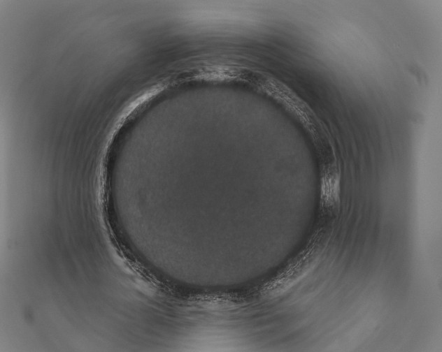 X0000111580724200908131318