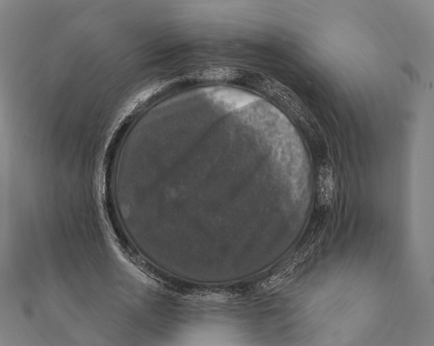 X0000111580726200908131318