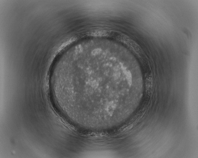 X0000111580727200908131318