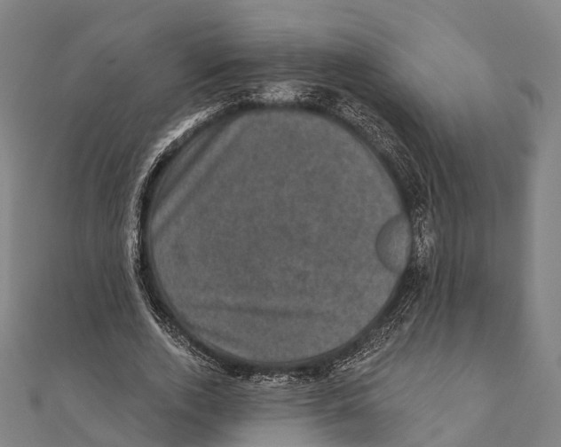 X0000111580728200908131318