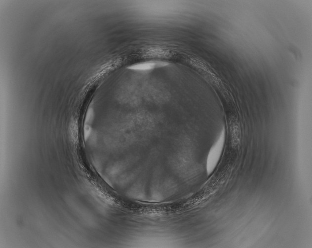 X0000111580729200908131318