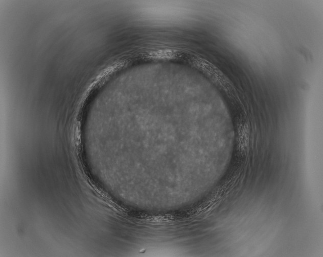 X0000111580731200908131318