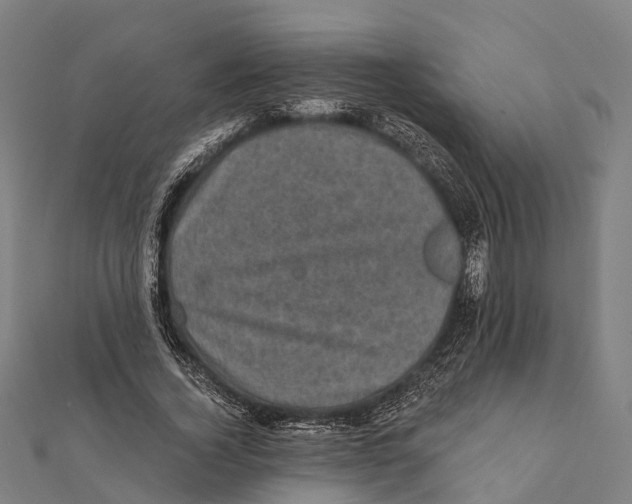 X0000111580732200908131318