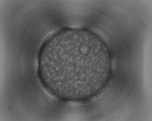 X0000111580733200908131318