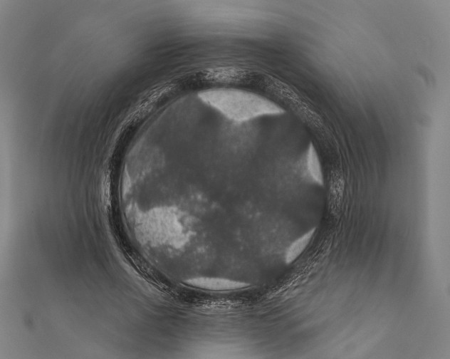 X0000111580734200908131318