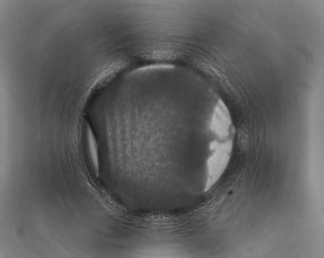 X0000111580735200908131318