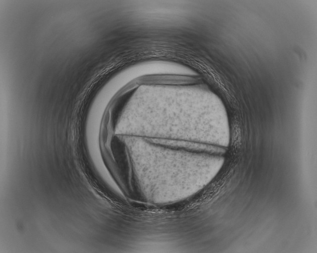 X0000111580736200908131318