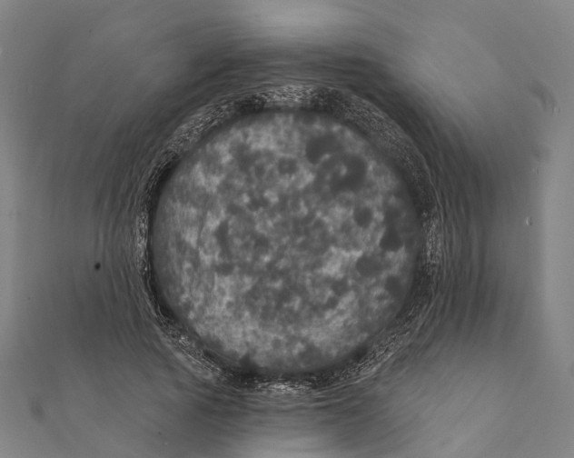 X0000111580737200908131318