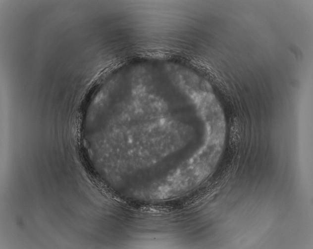 X0000111580739200908131318