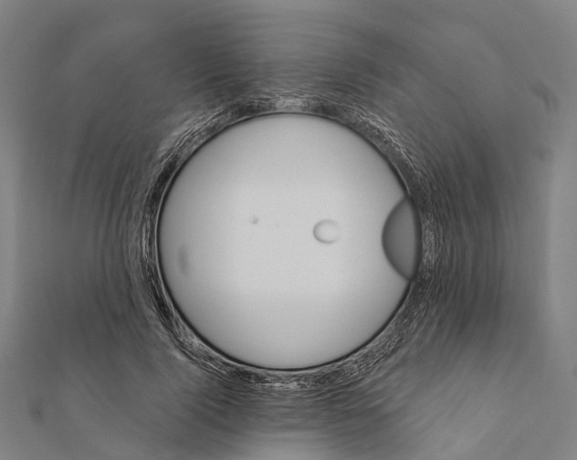 X0000111580740200908131318