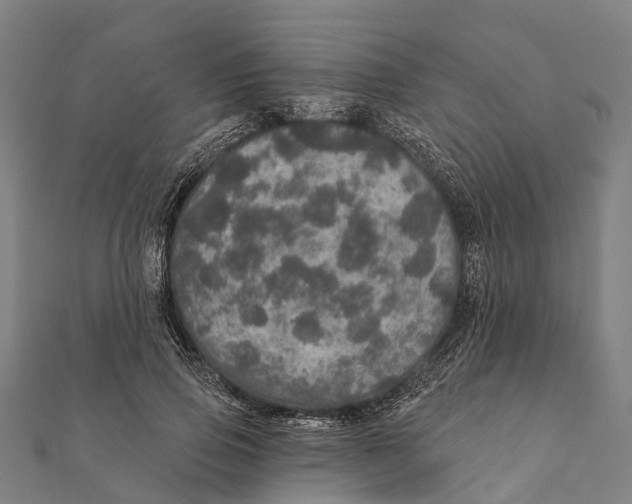 X0000111580741200908131318