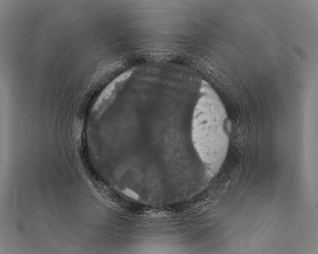 X0000111580742200908131318