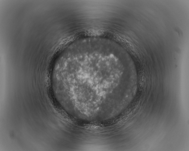 X0000111580743200908131318