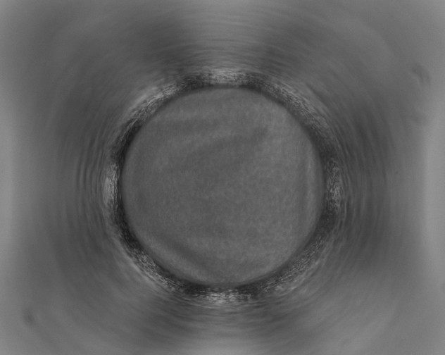 X0000111580744200908131318