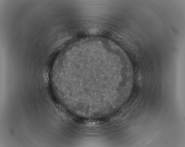 X0000111580746200908131318