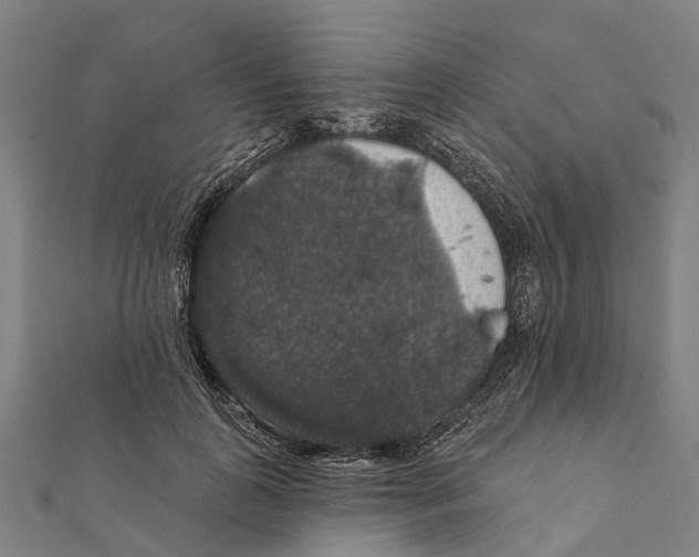 X0000111580747200908131318