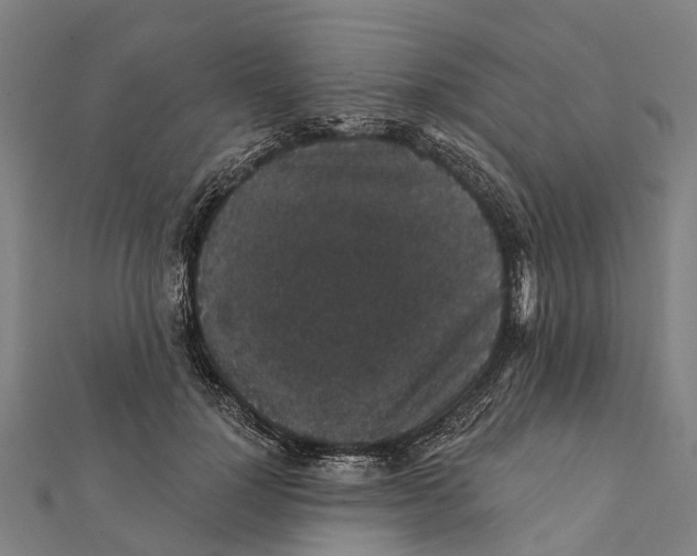 X0000111580748200908131318