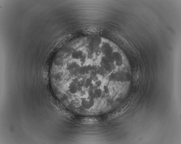 X0000111580749200908131318