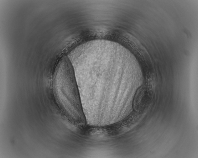 X0000111580750200908131318