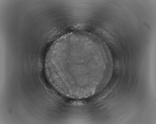 X0000111580751200908131318