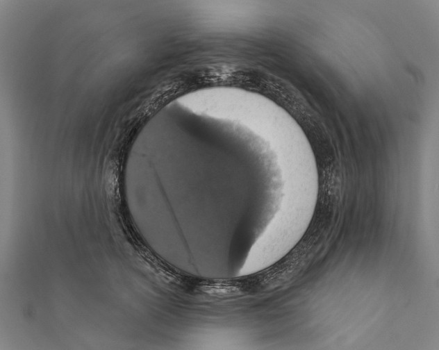 X0000111580754200908131318