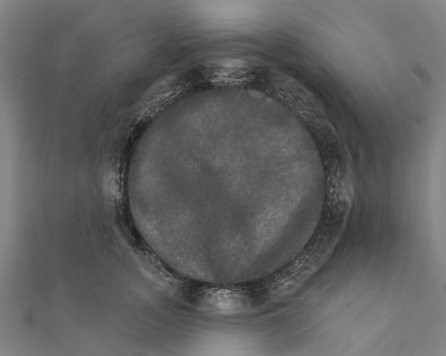 X0000111580755200908131318